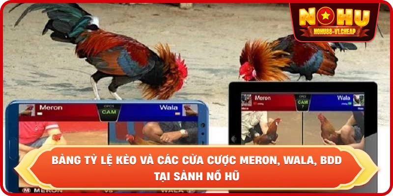 Luật đá gà NỔ HŨ – Cẩm Nang Thắng Cược Cho Kê Thủ 2026 - MAJEKU.FUN