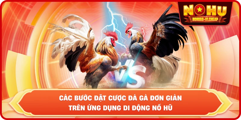 Luật đá gà NỔ HŨ – Cẩm Nang Thắng Cược Cho Kê Thủ 2026 - MAJEKU.FUN