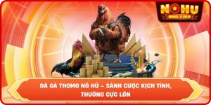Đá gà NỔ HŨ – Sảnh cược đẳng cấp, thắng lớn cực dễ - MAJEKU.FUN