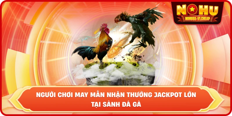 Đá gà thomo NỔ HŨ – Sảnh cược kịch tính, thưởng cực lớn - MAJEKU.FUN