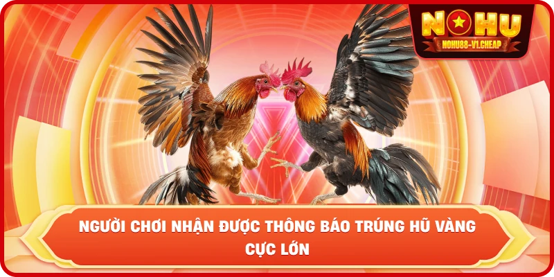 Đá gà cựa sắt NỔ HŨ – Sảnh cược kịch tính, thưởng lớn - MAJEKU.FUN