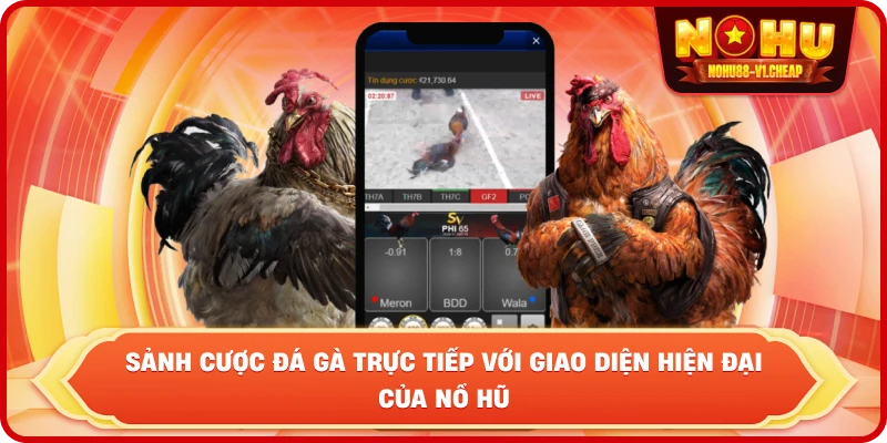 Đá gà thomo NỔ HŨ – Sảnh cược kịch tính, thưởng cực lớn - MAJEKU.FUN