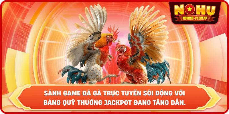 Đá gà NỔ HŨ – Sảnh cược đẳng cấp, thắng lớn cực dễ - MAJEKU.FUN