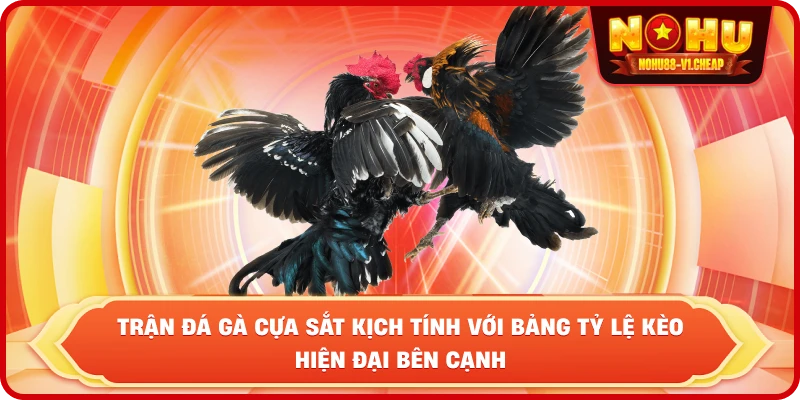 Đá gà cựa sắt NỔ HŨ – Sảnh cược kịch tính, thưởng lớn - MAJEKU.FUN