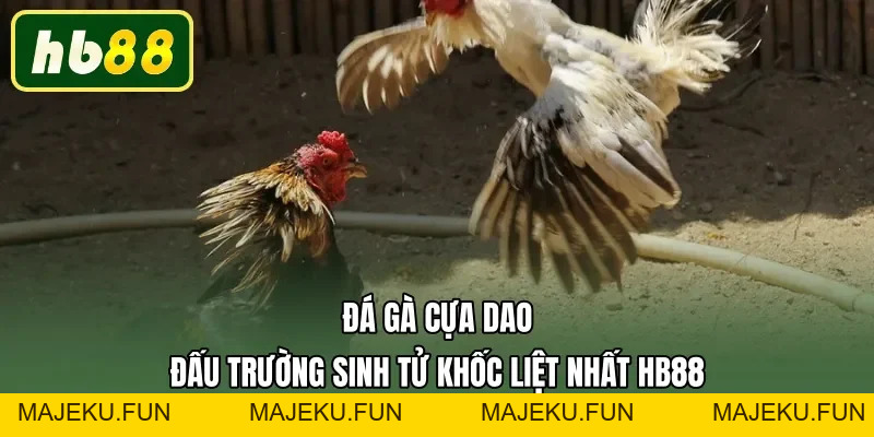 Đá Gà HB88 | Sân Chơi Cá Cược Uy Tín Nhất Thị Trường - MAJEKU.FUN