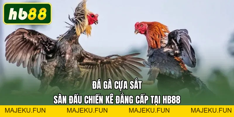 HB88 - HB88.COM Trang Chủ Nhà Cái Độc Quyền HB 88 | Đky +88K - MAJEKU.FUN