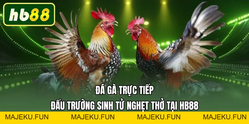 HB88 - HB88.COM Trang Chủ Nhà Cái Độc Quyền HB 88 | Đky +88K - MAJEKU.FUN