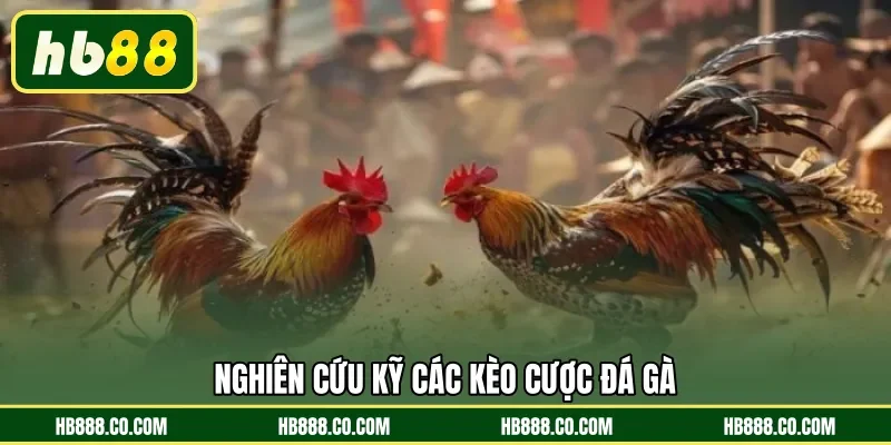 Đá Gà Cựa Sắt | Sàn Đấu Chiến Kê Đẳng Cấp Tại HB88 - MAJEKU.FUN