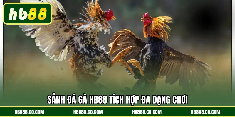 Đá Gà HB88 | Sân Chơi Cá Cược Uy Tín Nhất Thị Trường - MAJEKU.FUN