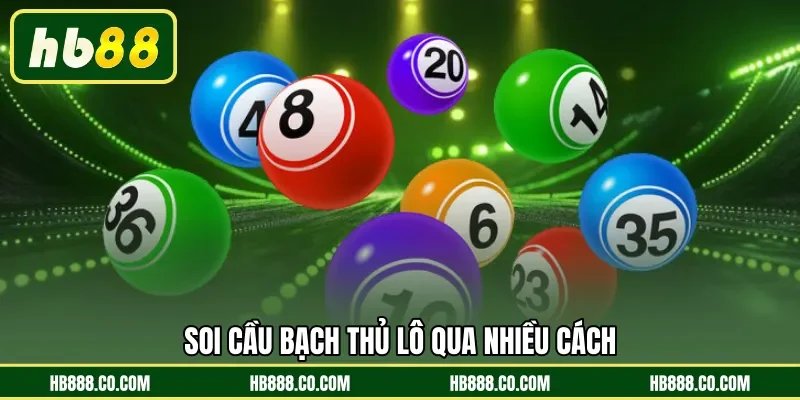 Bạch Thủ Lô | Nghệ Thuật Chinh Phục Số Tài Lộc Tại HB88 - MAJEKU.FUN