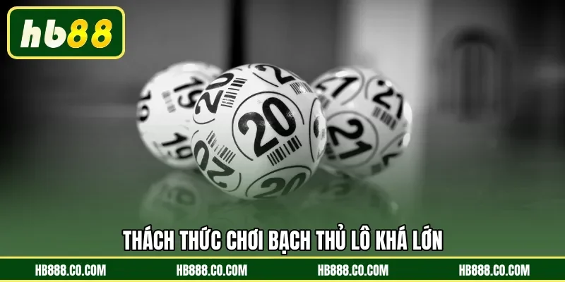 Bạch Thủ Lô | Nghệ Thuật Chinh Phục Số Tài Lộc Tại HB88 - MAJEKU.FUN