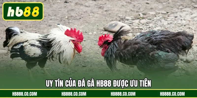 Đá Gà HB88 | Sân Chơi Cá Cược Uy Tín Nhất Thị Trường - MAJEKU.FUN